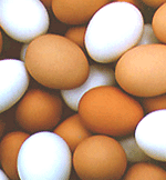 Slank med æg