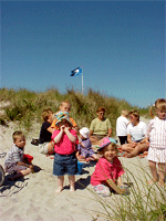 Blåstemplede danske strande