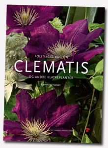 Clematis og andre klatreplanter 
