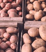 Kartoflens op- og nedture 