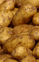 Solanin i grønne kartofler 